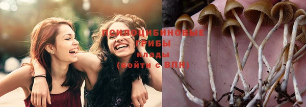 кокс Лабытнанги